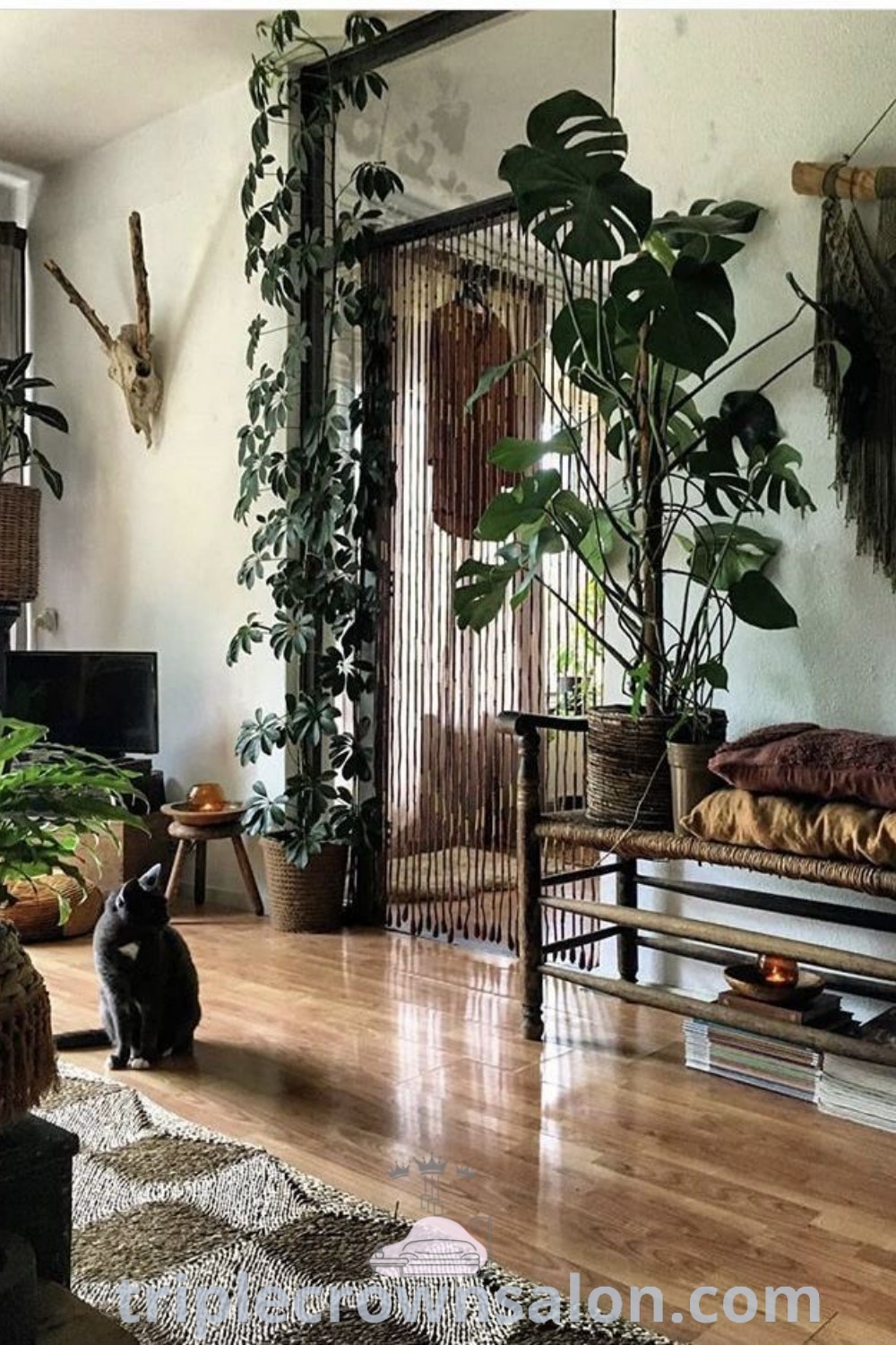 A cozy living room filled with lots of indoor plants next to a wooden floor covered in potted plants, showcasing a moody, rainforest home decor aesthetic. This plant lover living room offers decor ideas and unique inspirations for house or apartment designs. Explore more on triplecrownsalon.com.