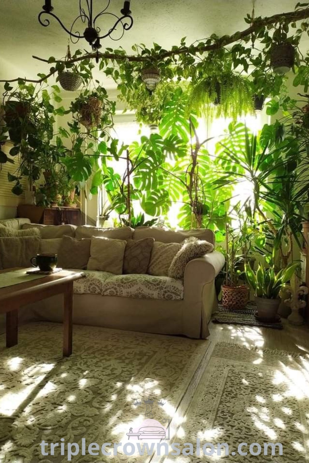 A cozy living room filled with various plants, enhancing the aesthetic with rental-friendly yard ideas and plant placement inspirations. This inviting space features modern plant room decor and clean cottage core elements, providing unique ideas for your home. Discover more at triplecrownsalon.com.