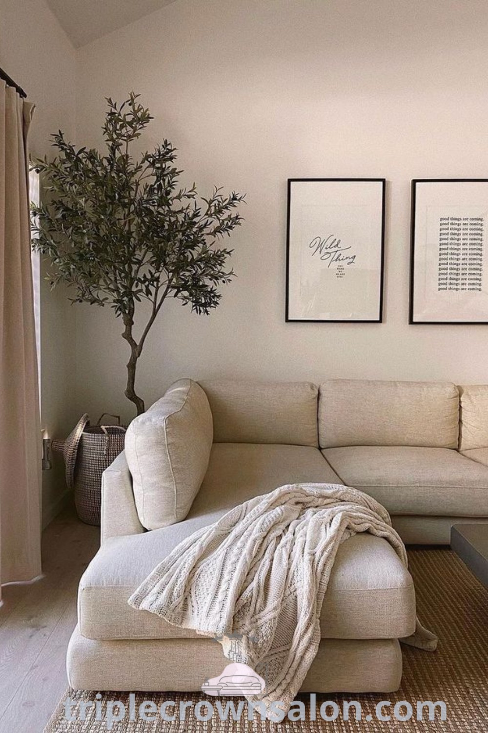 A cozy apartment living room showcasing a stylish couch, coffee table, and a potted tree in the corner, exemplifying organic modern design trends. This scene offers inspiring decor ideas for small spaces, blending aesthetics and comfort seamlessly. Discover unique ideas for your home at triplecrownsalon.com.