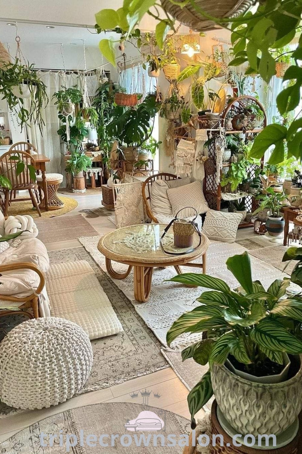 A living room filled with lots of furniture and vibrant potted plants, creating a cozy and inviting atmosphere reflecting a Garden Jungle aesthetic. This decor offers unique ideas for your home and inspiring designs suitable for house or apartment, showcasing creative interior design with a touch of beachy home decor. Explore more at triplecrownsalon.com.