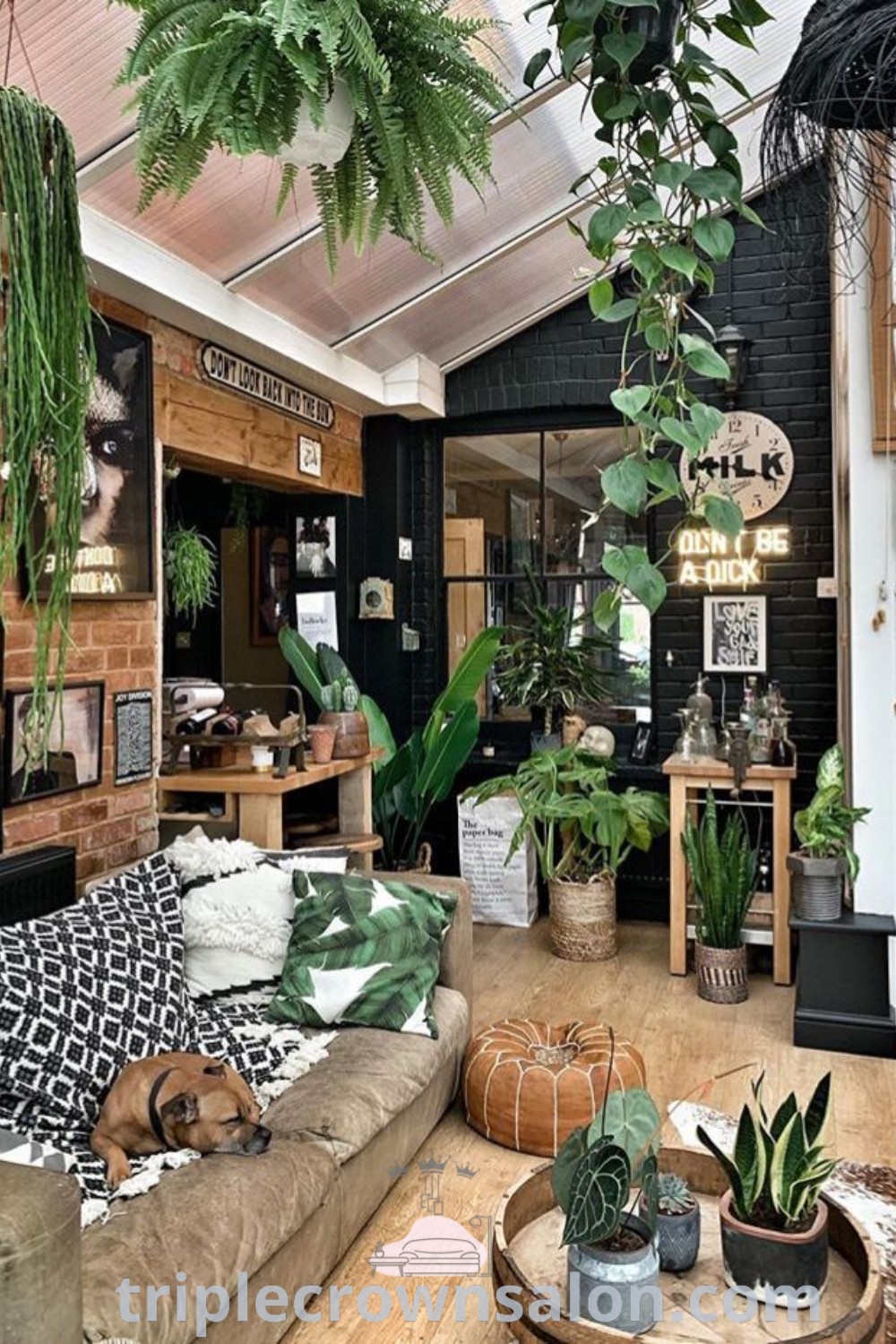 A feminine industrial living room adorned with plants, dark neutrals, and stylish furniture, showcasing a modern boho decor aesthetic. Discover cozy ideas and design tips for your home at triplecrownsalon.com, offering inspirations for small spaces and unique decor ideas.