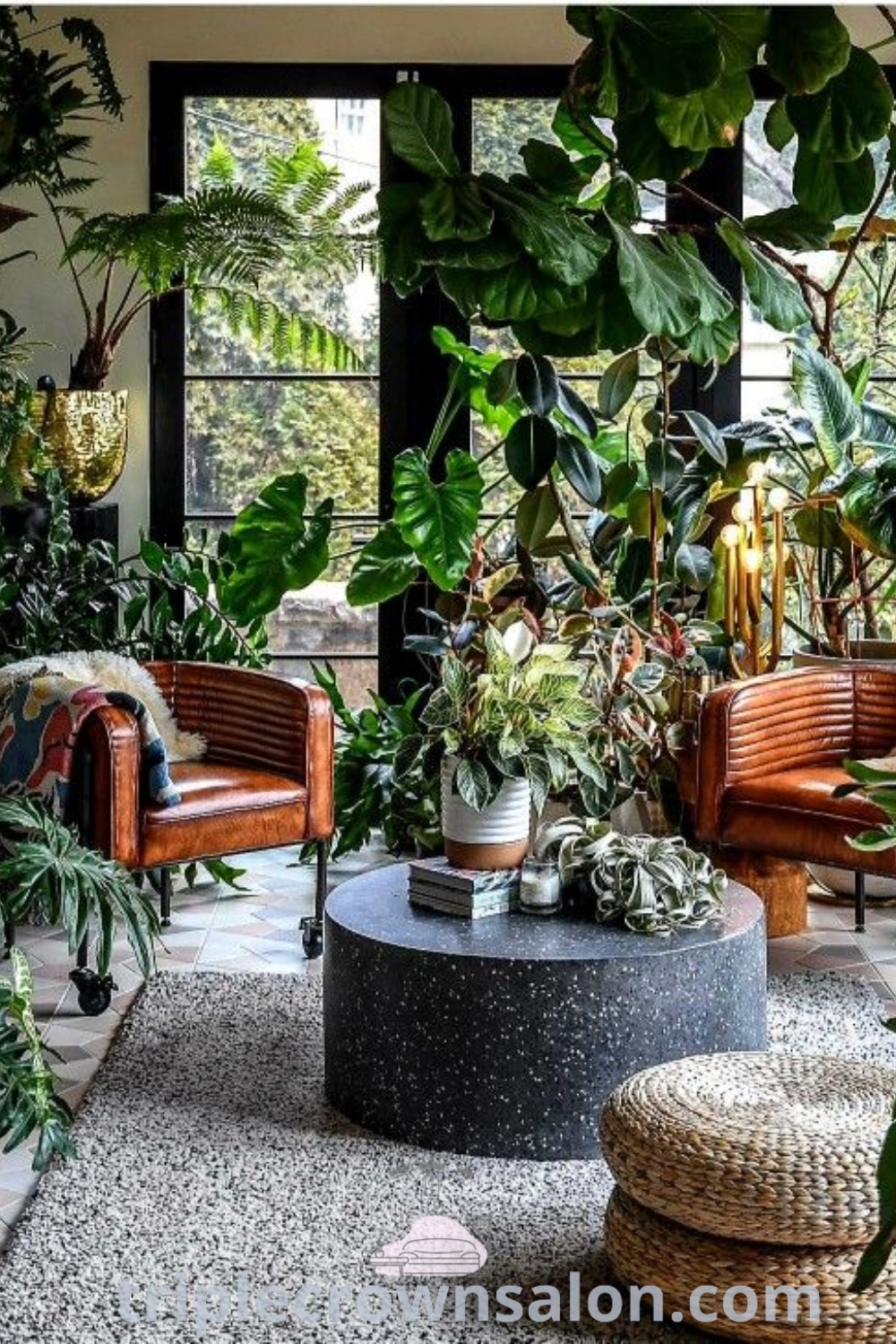 A cozy living room adorned with various green plants, including indoor climbing plants, showcasing inviting decor ideas that enhance the space